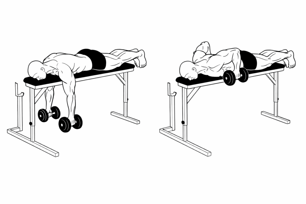 how to do Dumbbell Seal Row