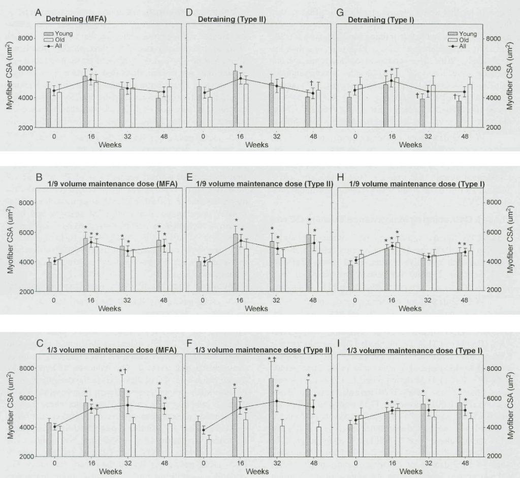 Myofiber CSA changes in different fiber types with detraining and partial training.