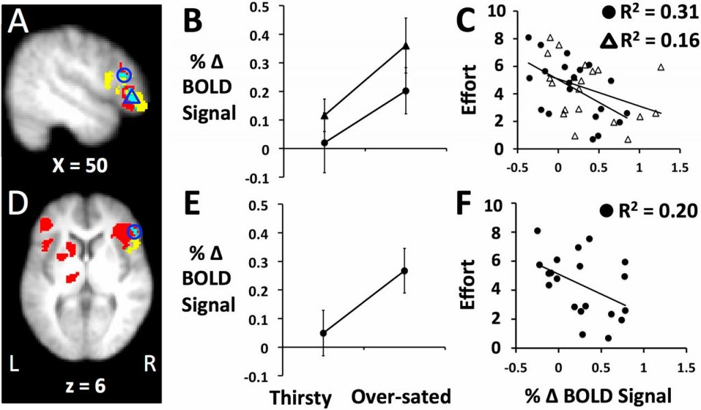 drinking water when not thirsty requires about three times more effort than drinking when thirsty.