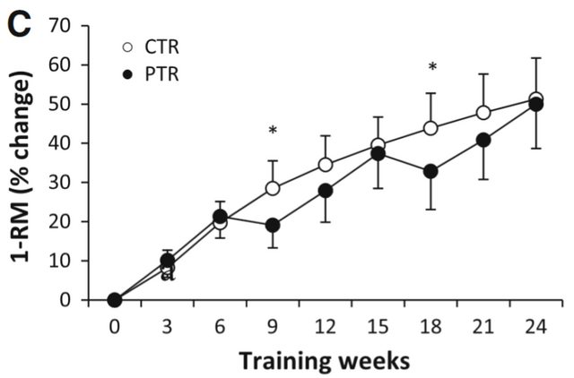 Beginner 24-week muscle strength changes, detraining vs continuing training