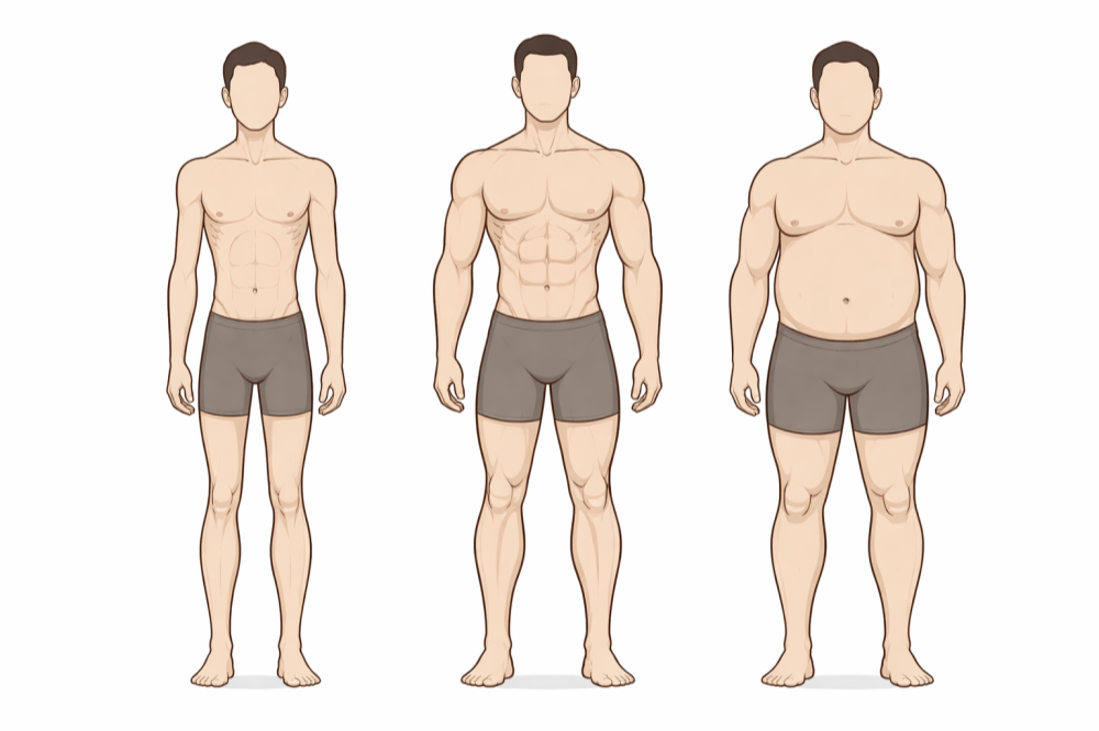ectomorph vs mesomorph vs endomorph